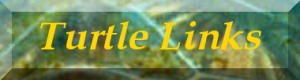 Turtle Links